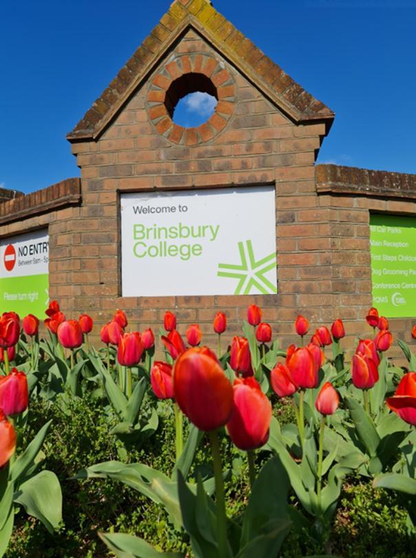 Bramley Guest Rooms Pulborough Bagian luar foto